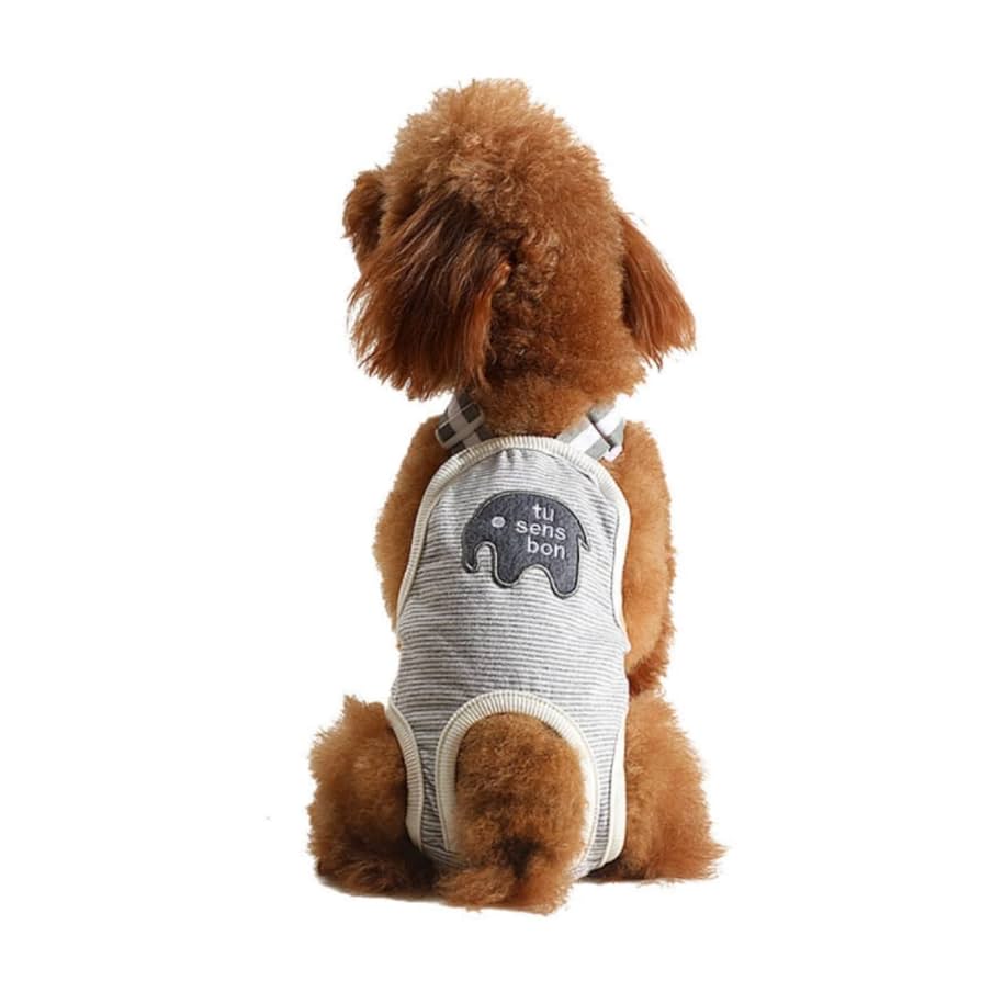 マナーベルト について♡ Amazon | Bule Maple マナーベルト 犬 男の子 おむつ 女の子